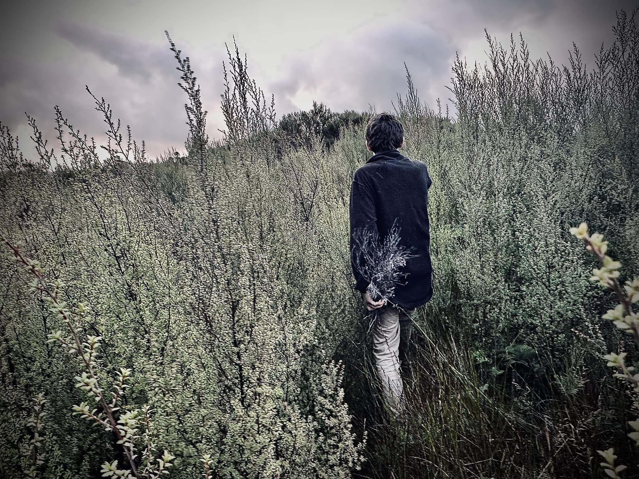 No photo description available.