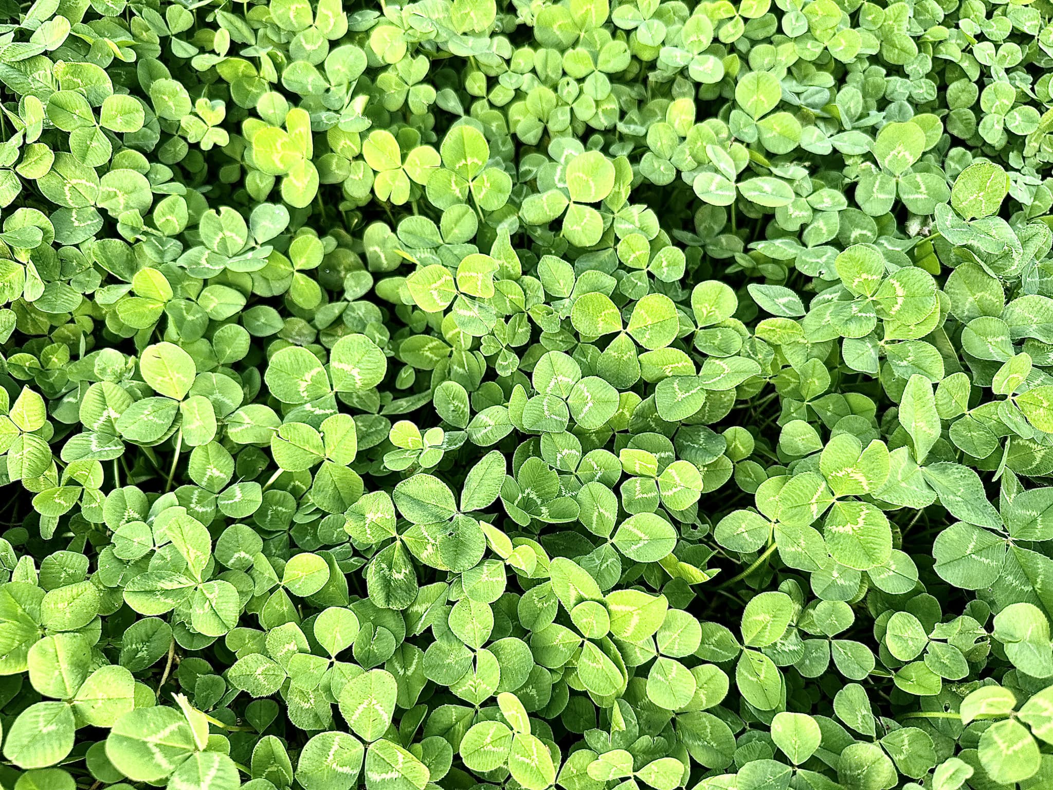 No photo description available.